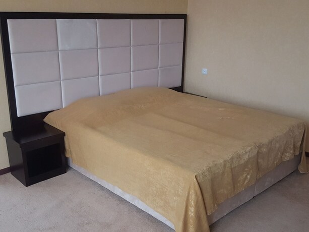 Imagen de la habitación del Hotel Vanadzor Armenia Health Resort. Foto 15