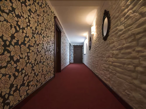 Imagen de los interiores del Hotel Vanilla, LUBLIN. Foto 18