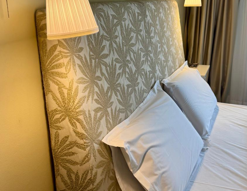 Imagen general del Hotel Vanilla, Timisoara. Foto 17