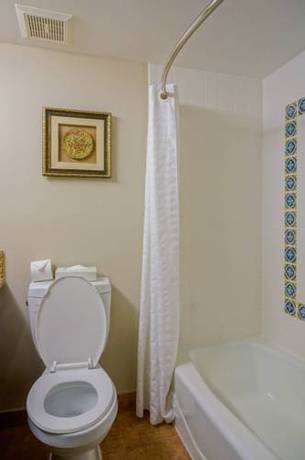 Imagen de la habitación del Hotel Vanllee and Suites. Foto 15