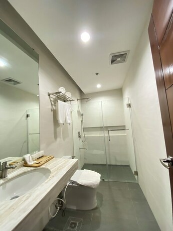 Imagen general del Hotel Vanyard. Foto 13