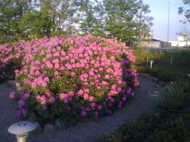 Imagen de los exteriores del Hotel Varde. Foto 4