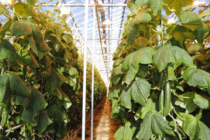 Imagen general del Hotel Varmaland. Foto 16