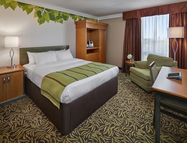 Imagen de la habitación del Hotel Varscona On Whyte. Foto 10