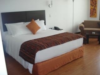 Imagen de la habitación del Hotel Varuna. Foto 11