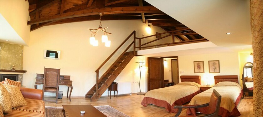 Imagen de la habitación del Hotel Vasilitsa Spa Resort. Foto 19