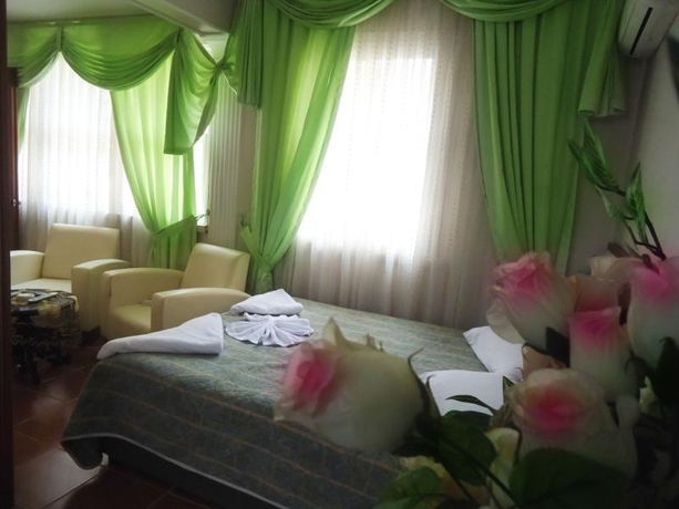 Imagen general del Hotel Vatan. Foto 13