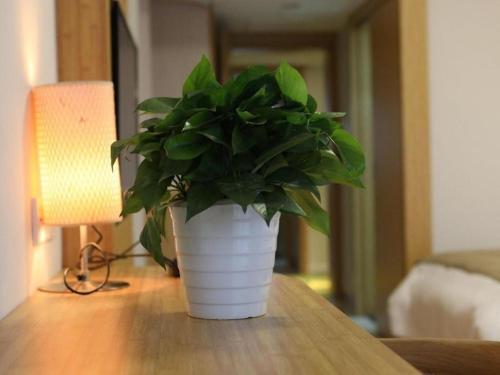 Imagen general del Hotel Vatica Hangzhou Linan Qianwang Street. Foto 11