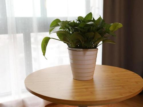 Imagen general del Hotel Vatica Hangzhou Linan Qianwang Street. Foto 15