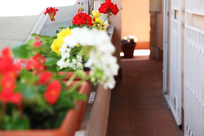 Imagen de los exteriores del Hotel Vaticano84. Foto 16