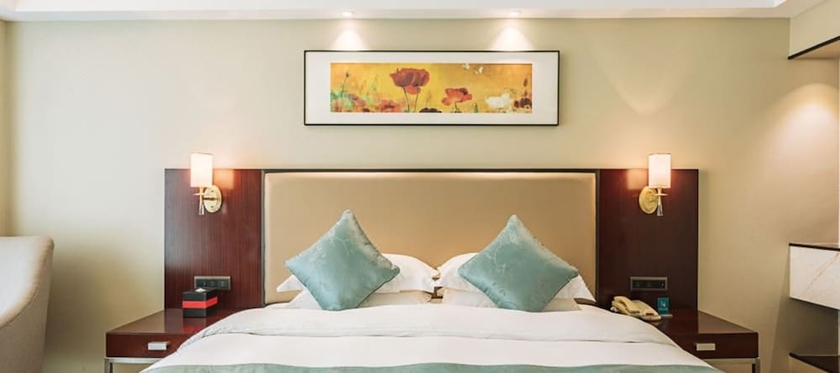 Imagen de la habitación del Hotel Vaya International. Foto 10