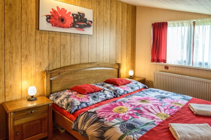 Imagen de la habitación del Hotel VeLa, Mal&yacute; Slavkov. Foto 13