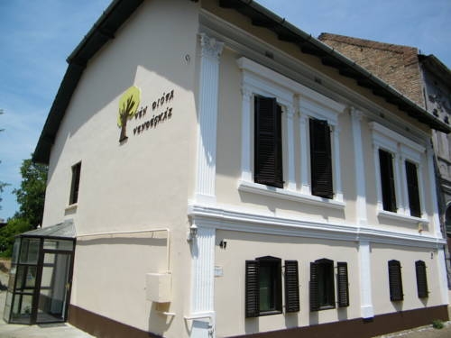 Imagen general del Hotel V&eacute;n Di&oacute;fa De Lux Panzi&oacute;. Foto 6