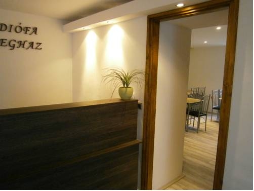 Imagen general del Hotel V&eacute;n Di&oacute;fa De Lux Panzi&oacute;. Foto 11