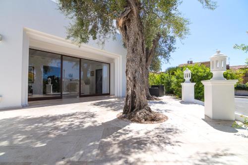 Imagen general del Hotel Vecchia Marina. Foto 2