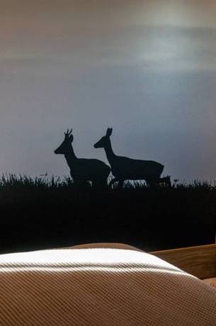 Imagen de la habitación del Hotel Vecchia Stazione Mountain Elegance. Foto 4