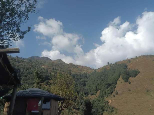 Imagen general del Hotel Vedic Home Stay. Foto 1