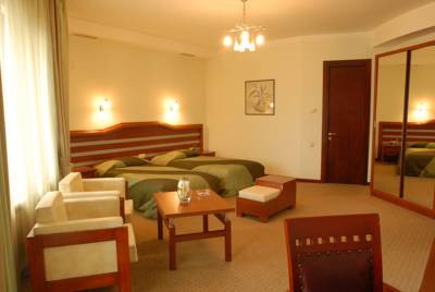 Imagen general del Hotel Vedzisi. Foto 2