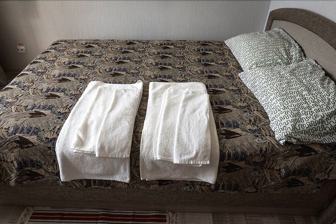 Imagen de la habitación del Hotel Vega, Arkhangelsk. Foto 5