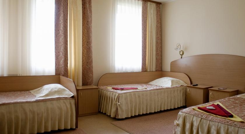 Imagen de la habitación del Hotel Vega Hotel, Irkutsk. Foto 5