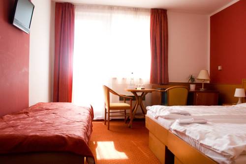 Imagen de la habitación del Hotel Vega, Luhačovice . Foto 6
