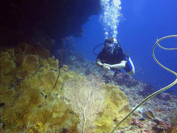 Imagen general del Hotel Velana Beach Maldives. Foto 3