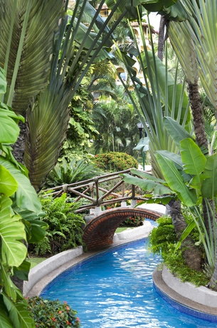 Imagen de la piscina del Hotel Velas Vallarta Suite Resort. Foto 16