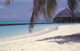 Imagen de los exteriores del Hotel Velidhu Island Resort. Foto 4