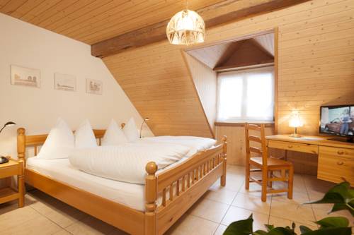 Imagen de la habitación del Hotel Velohotel Hirschen. Foto 10