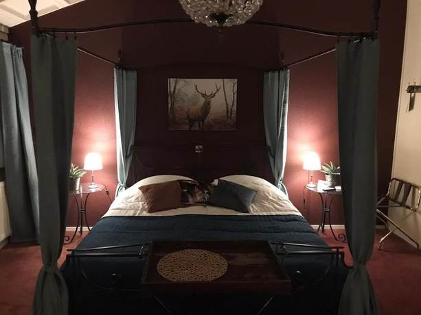 Imagen de la habitación del Hotel Veluwe Stakenberg. Foto 18