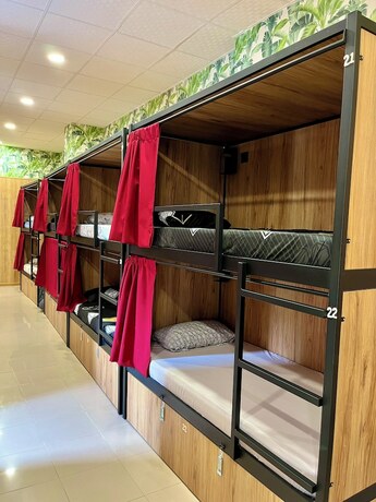 Imagen general del Hotel Velvet Hostels. Foto 2