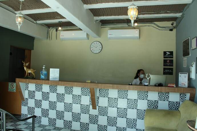 Imagen general del Hotel Venados Inn. Foto 10