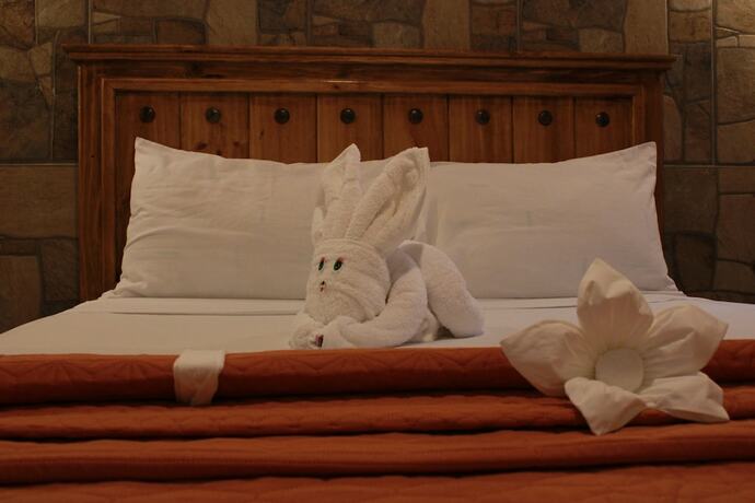 Imagen general del Hotel Venados Inn. Foto 12