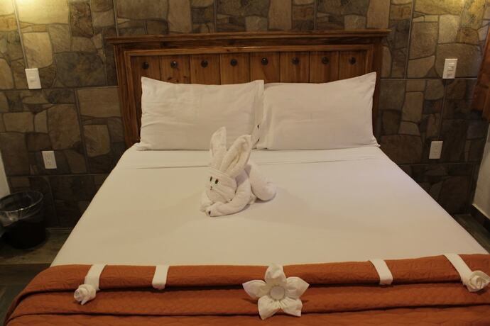 Imagen de la habitación del Hotel Venados Inn. Foto 17