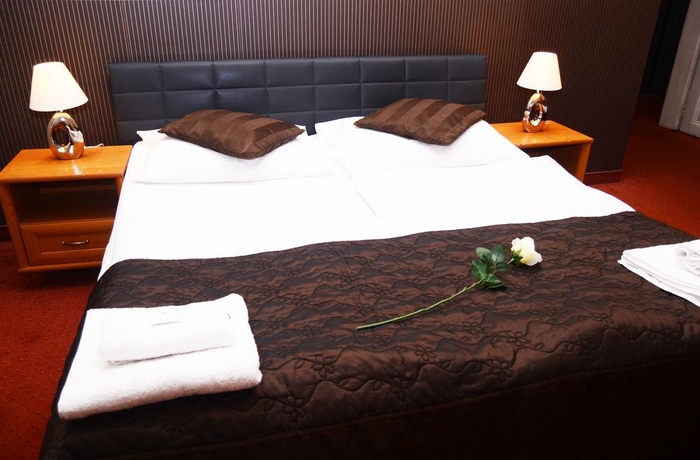 Imagen general del Hotel Venezia, Praga. Foto 9