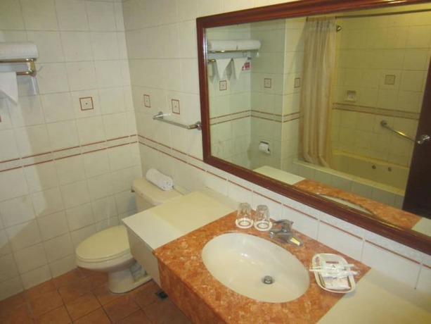 Imagen de la habitación del Hotel Veniz Burnham. Foto 10