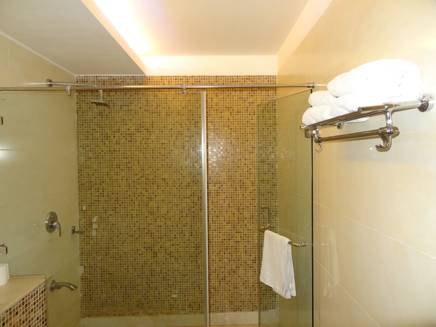 Imagen de la habitación del Hotel Venizia Sarovar Portico. Foto 8