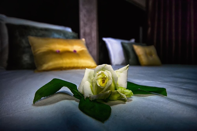 Imagen de la habitación del Hotel Vents Des Iles. Foto 3