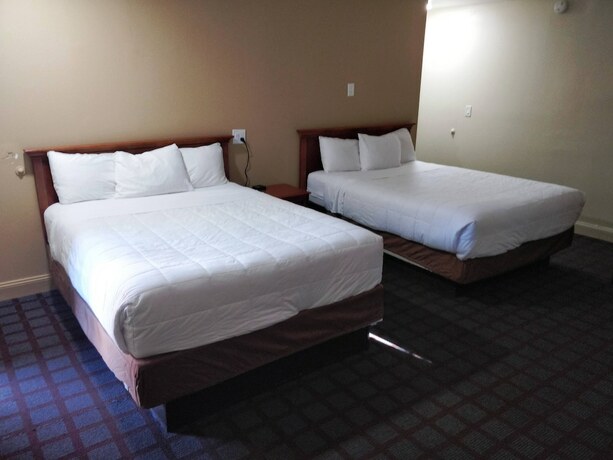 Imagen de la habitación del Hotel Ventura Grand Inn. Foto 10