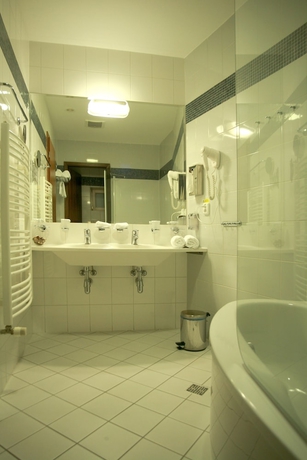 Imagen de la habitación del Hotel Venus, KARLOVY VARY. Foto 12