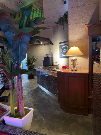 Imagen de los interiores del Hotel Venus Ritz - Adults Only. Foto 18