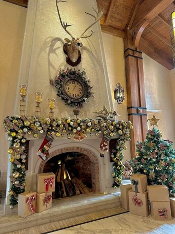 Imagen general del Hotel Venus Tam Dao. Foto 3