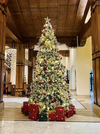 Imagen general del Hotel Venus Tam Dao. Foto 10