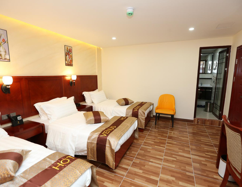 Imagen general del Hotel Venus, Wadi Musa. Foto 18