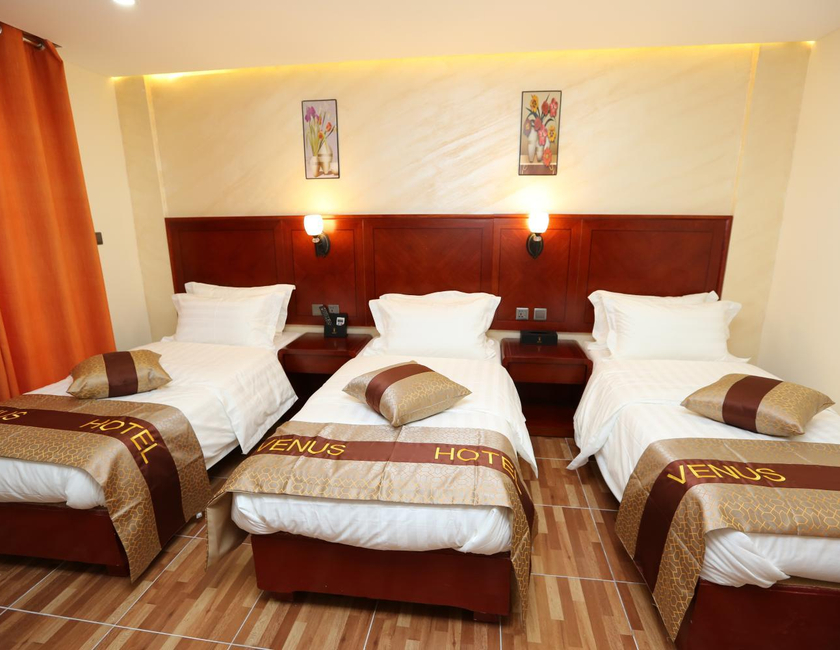 Imagen general del Hotel Venus, Wadi Musa. Foto 19
