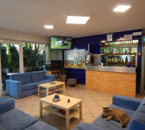 Imagen general del Hotel Vera, Riccione. Foto 3