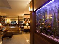 Imagen general del Hotel Vera Verde Resort. Foto 6