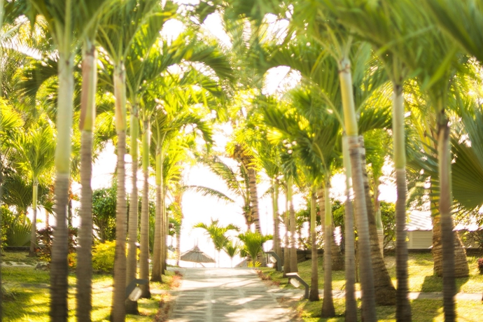 Imagen de los exteriores del Hotel Veranda Belle Mare - All Inclusive. Foto 7