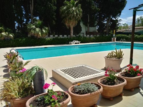 Imagen de la piscina del Hotel Verdemare Sardegna Uno. Foto 6