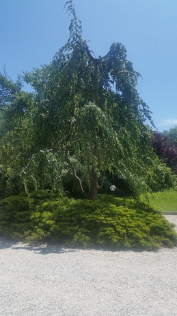 Imagen de los exteriores del Hotel Verdemilia. Foto 10